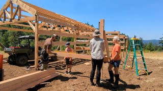 Greenhouse Leanto and Sheathing [upl. by Martell]