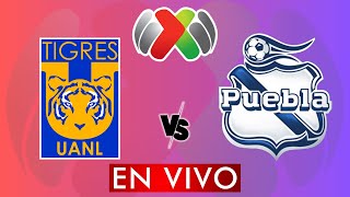 TIGRES VS PUEBLA EN VIVO  LIGA MX APERTURA 2024  JORNADA 11  DONDE VER EN VIVO [upl. by Laersi]