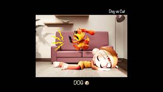 DOG vs CAT  POPPY PLAYTIME CHAPTER 3  GHS ANIMATION [upl. by Ecidnac]