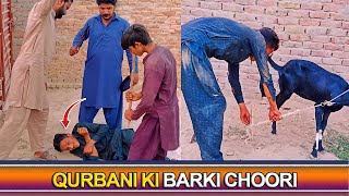 Qurbani Ki Bakri Choori 😭 Funny Qurbani Video🤣 [upl. by Christi751]