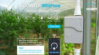 WittFlow smart water timer with intelligent irrigation system [upl. by Dolf]