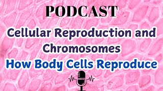 Cellular Reproduction and Chromosomes How Body Cells Reproduce [upl. by Enitsyrk]