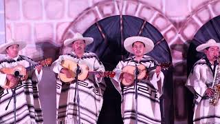 Orquesta la Guadalupana de Santa Ana Zirosto en Concurso Artístico de Zacán 2017 [upl. by Adalai]