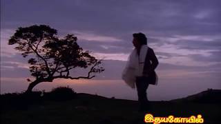 Idaya KovilVaanuyarntha Solaiyilevideo songs [upl. by Dhu]