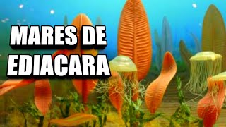 😲 EXTRAÑAS Y MISTERIOSAS Criaturas de Ediacara ¿YEstoQuéEs 😳 [upl. by Lunetta]