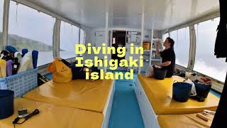 Dive in Okinawa  Ishigaki Island [upl. by Trela]