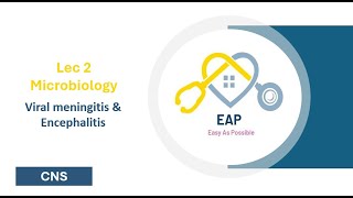 Lec 2  Microbiology  Viral meningitis amp Encephalitis  CNS 42 [upl. by Ococ]