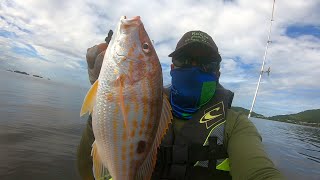 EPIC KAYAK FISHING BIGGG LANE SNAPPER CAUGHT ON HANDLINE Fishing For Food In Trinidad Caribbean [upl. by Porcia]