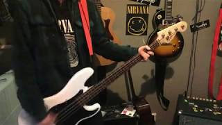 Green Day  Welcome To Paradise Bass Cover [upl. by Donetta940]