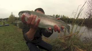 Truites de bassine aux streamers [upl. by Lilithe993]