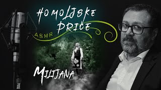 🟢 HOMOLJSKE PRIČE 09  MILIJANA  PROFESOR JUNG  AUDIO BOOK  ASMR‼ [upl. by Dimphia]