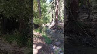 Ruidoso New Mexico Stream daveshikesnewmexico shorts stream [upl. by Gavin]