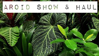 International Aroid Show amp Haul 2019  Fairchild Tropical Botanic Garden Tour [upl. by Albemarle961]