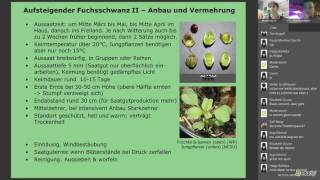 Webinar Alte and neue Nutzpflanzen Teil 1 mit Eike Wulfmeyer [upl. by Latta471]