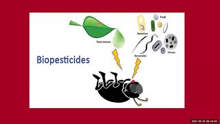 Biopesticides Part 1 [upl. by Conti12]