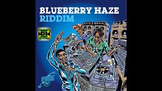 Blueberry Haze Riddim Mix FullChristopher Martin Mr Vegas Latty J Ras Demo x Drop Di Riddim [upl. by Eiznek]