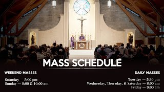 800 and 1000 AM Mass Sunday October 20 2024 TwentyNinth Sunday in Ordinary Time [upl. by Cerracchio]