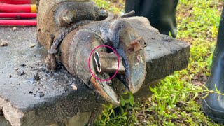 Ep57  Cleaning TV  Experts use stone to treat cows foot  THE CLEANING and CUTTUNG [upl. by Yeruoc]