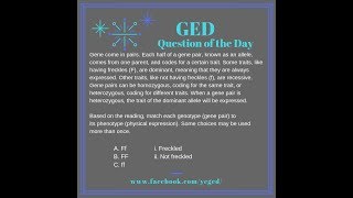 GED QOD Heredity and Punnett Squares 3 [upl. by Norret387]