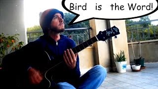 Surfin Bird  Hansel  Acoustic Cover [upl. by Sivi418]