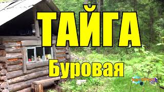 ТАЙГА  БУРОВАЯ УСТАНОВКА В ТАЙГЕ  ДОБЫЧА [upl. by Osnofedli]