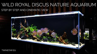 Wild ROYAL Discus Nature Aquarium of 200x60x70cm at Twinstar EU [upl. by Daye885]