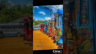 Bus Songs sinhala new bus dj remix 2024 new song sinhala bus songs new shorts [upl. by Mcferren]