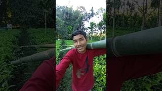 VILLAGE BOY KA DAILY LIFE 😟 ll AKASH VLOG ll minivlog villagelife boylife [upl. by Robinett]