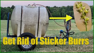 2 Things We Use To Get Rid Of SandburrsStickerburrs [upl. by Toombs]