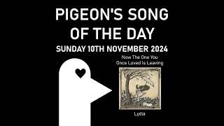 Now The One You Once Loved Is Leaving  Pigeons Song of the Day 10112024 [upl. by Reffotsirk604]