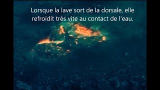 Voyage au fond des océans  Dorsale océanique en zone de Divergence [upl. by Anelaf]