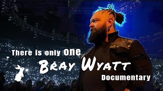 There is only one Bray Wyatt Documentary [upl. by Ken455]