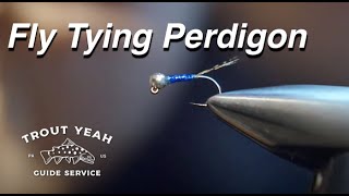 JDK Perdigon Fly  Euro Nymphing Fly Tying [upl. by Maxentia]