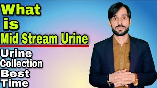 What is the best time to collect urine sample What is Mid Stream Urine [upl. by Honey]