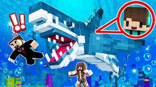 MINECRAFT PETAK UMPET TAPI HUNTERNYA JADI HIU LAPAR 🦈🦈🦈 [upl. by Waldron568]