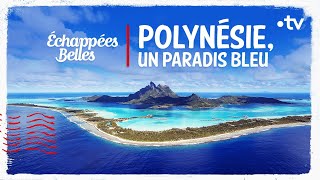 Polynésie un paradis bleu  Échappées belles [upl. by Noevad213]