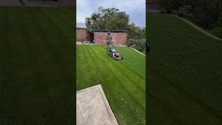 Quick Yard Cleanup 93 YardCleanUp GardeningTips cleanspace TrimmingTips quickcleaning garden [upl. by Nyhagen]