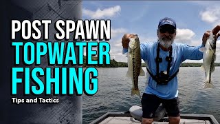 Post Spawn Topwater Fishing lakelanierfishing2024 bassfishing [upl. by Clabo608]