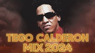 TEGO CALDERON MIX 2024  REGGAETON VIEJO MIX  REGGAETON CLASICO MIX 2024 [upl. by Dorfman]