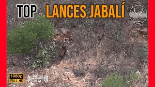 TOP LANCES DE JABALI  TEMPORADA DE MONTERÍAS 2022 2023 [upl. by Vevina827]