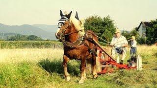 Historische HeuErnte 2012 in AchernFautenbach [upl. by Clary]