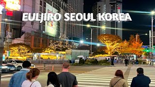 KOREA VLOG Walking Around Euljiro 1 ga Station Seoul Korea  Seoul Walking Trip [upl. by Aihseyt]