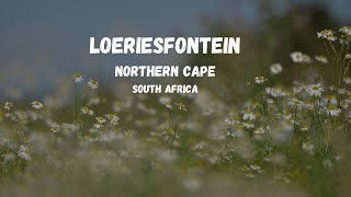 Loeriesfontein Northern Cape South Africa [upl. by Aicela]