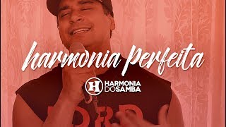 Harmonia do Samba  Harmonia Perfeita  Hoje Vídeo Oficial [upl. by Heiney]