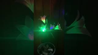 Color Changing Solar Spot Lights Outdoor [upl. by Thaine141]