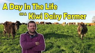 A Day In The Life Of A New Zealand Dairy Farmer  Winter [upl. by Wind]