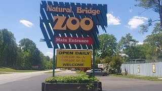 My Natural Bridge Zoo visit Virginia [upl. by Kali]