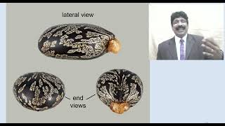 Lipids Lecture 3 for Pharm D students 2 Nov 2024 [upl. by Yznel]