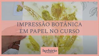 Impressão Botânica em Papel no meu curso [upl. by Erin724]