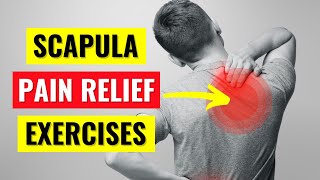 Scapula amp Rhomboid Pain Relief Exercises in 5 min [upl. by Sheela]